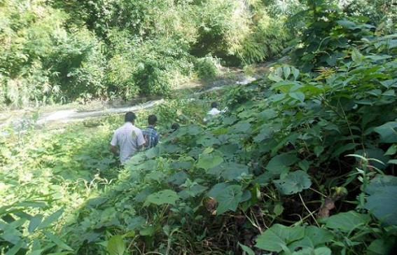 Death of Amlan failed to arouse the consensus of the administration: Saniya Reang fountain remained unprotected and covered with jungle Death of Amlan failed to arouse the consensus of the administration: Saniya Reang fountain remained unprotected and covered with jungle